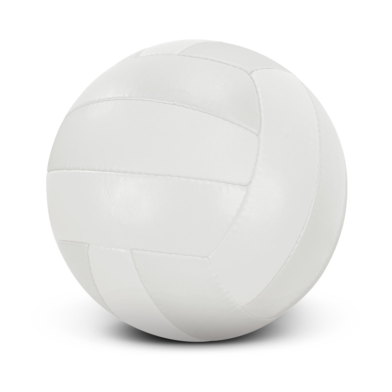 117256 - Volleyball Pro