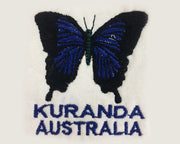 B33 Ulysses Butterfly