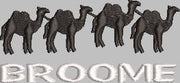 C161 Camels