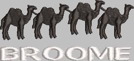 C161 Camels