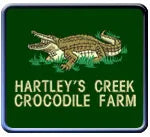 C1 Crocodile