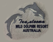 D20 2 Dolphins Jump