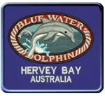 D68 3D Dolphin