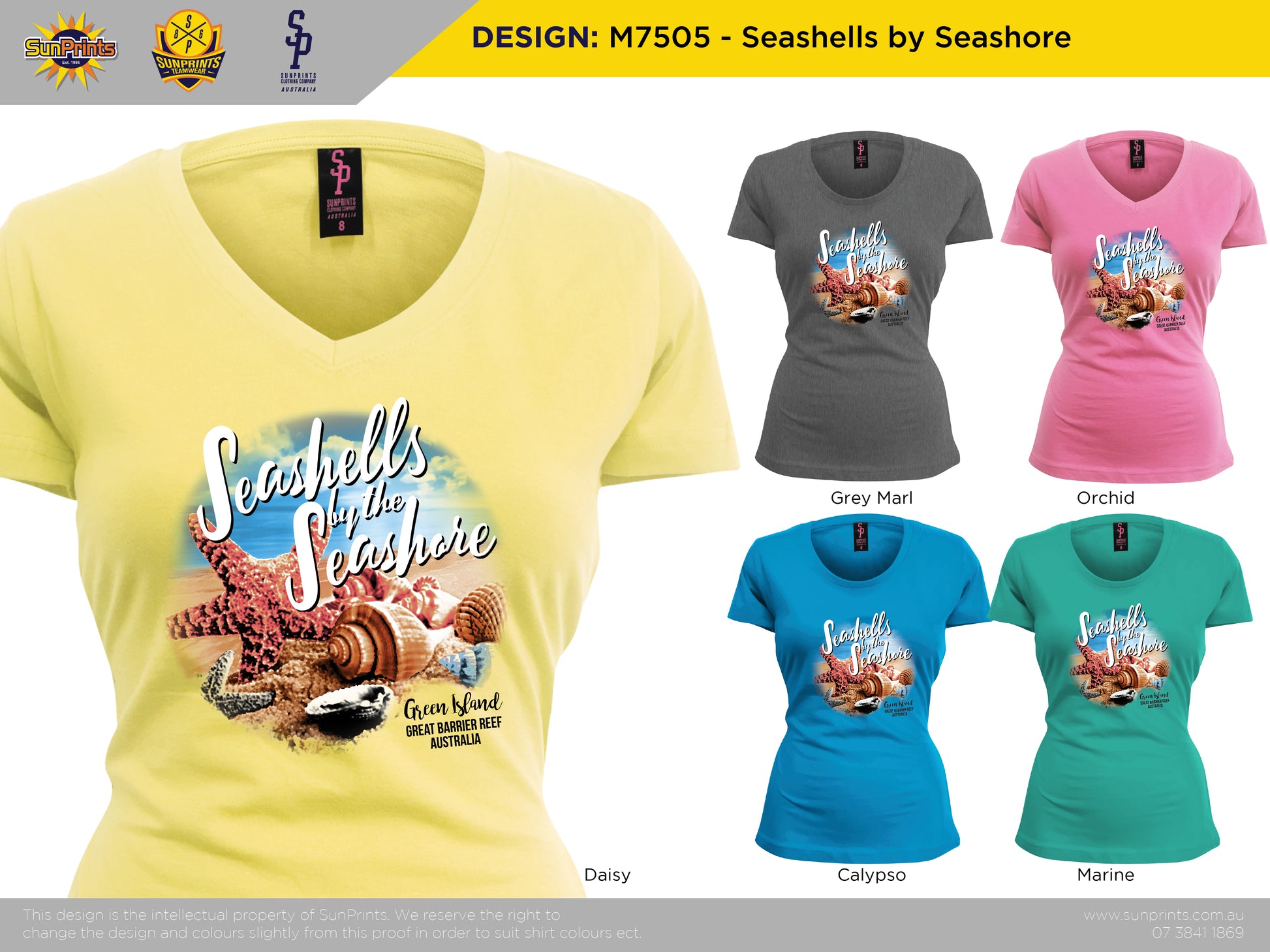 M7505 - Seashells by Seashore