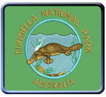 P6 Platypus Dive