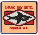 S93BerniesShark
